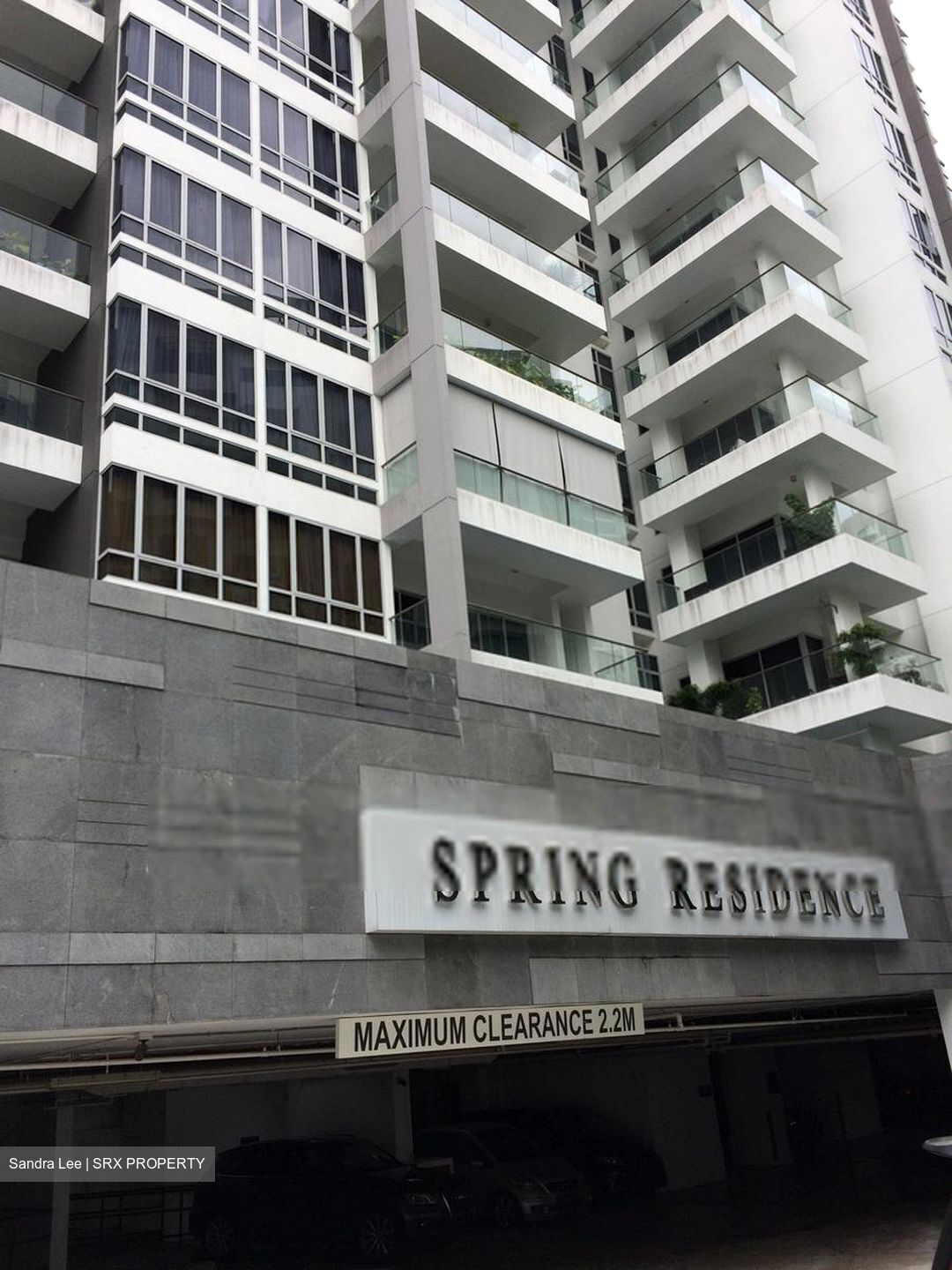 Spring Residences (D10), Condominium #427543611